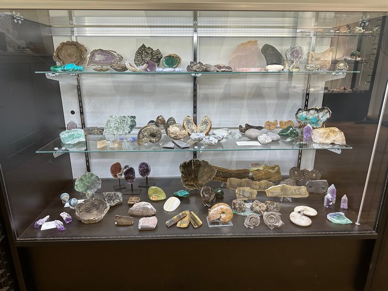 Glass display case filled with crystals, minerals, and geodes at A Chip Off The Old Rock crystal shop in Denver Colorado