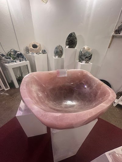 Gallery display of fossilized ammonites on white pedestals with petrified wood slabs