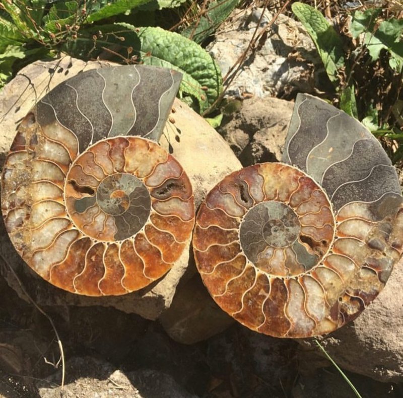 Store interior displaying crystals, minerals, and metaphysical supplies