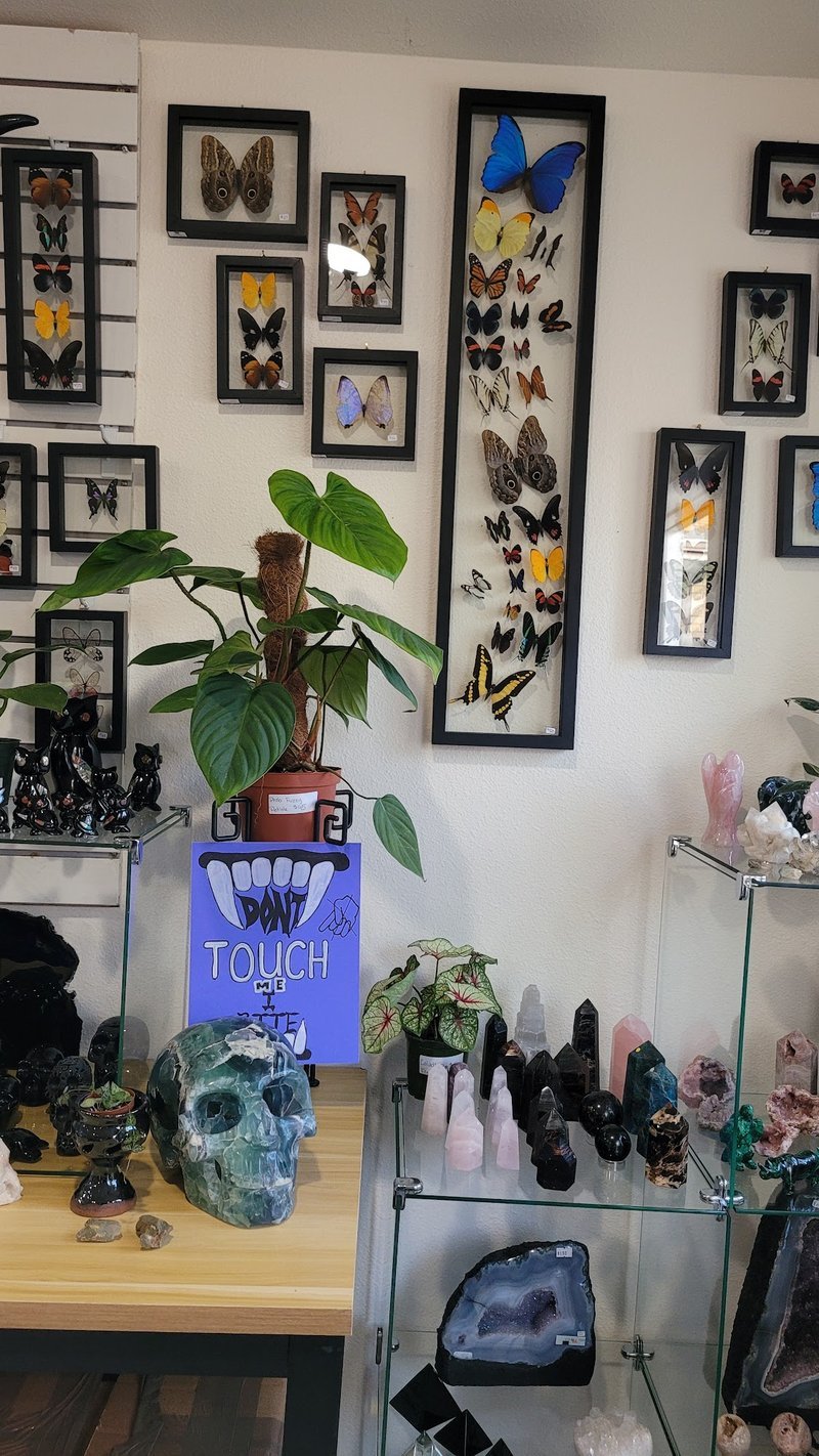 Interior view showcasing crystal towers, spheres, and carved stone pieces