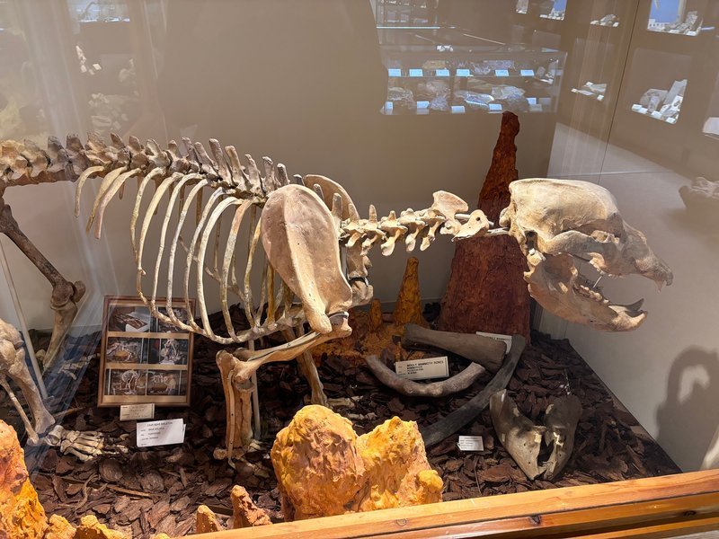 Curated selection of gemstones, crystals, and metaphysical supplies