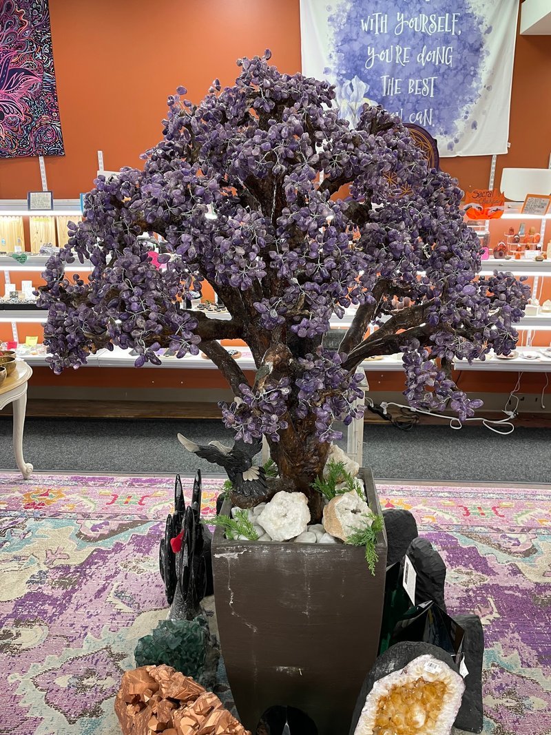 Display featuring crystal points, polished stones, and raw mineral specimens