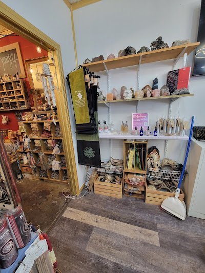 Retail display with tumbled stones, raw crystals, and polished specimens