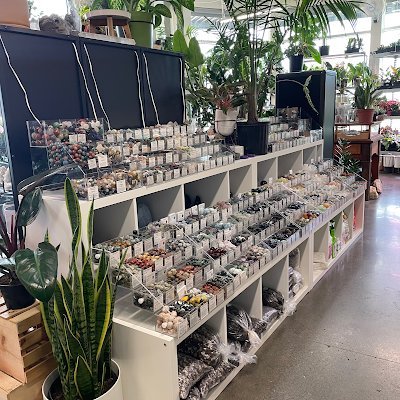 Store interior displaying crystals, minerals, and metaphysical supplies