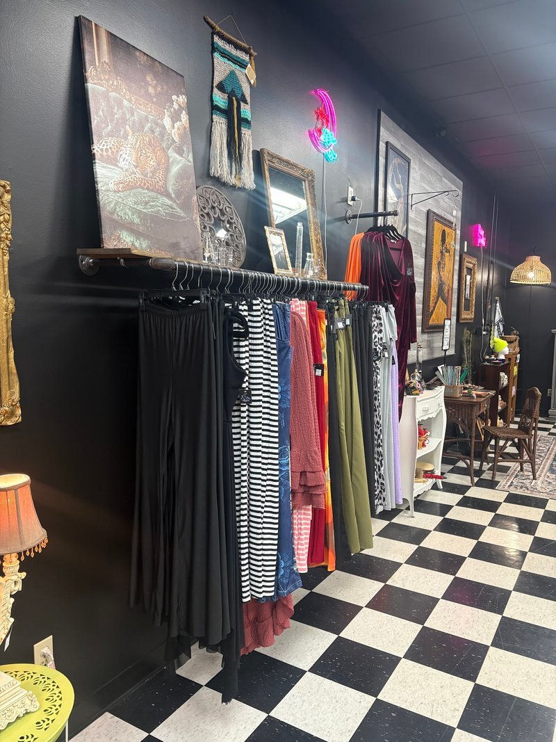 Collection of tumbled stones, raw minerals, and crystal clusters