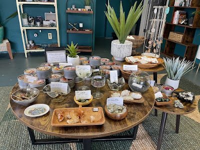 Crystal and mineral display with organized specimens and inventory
