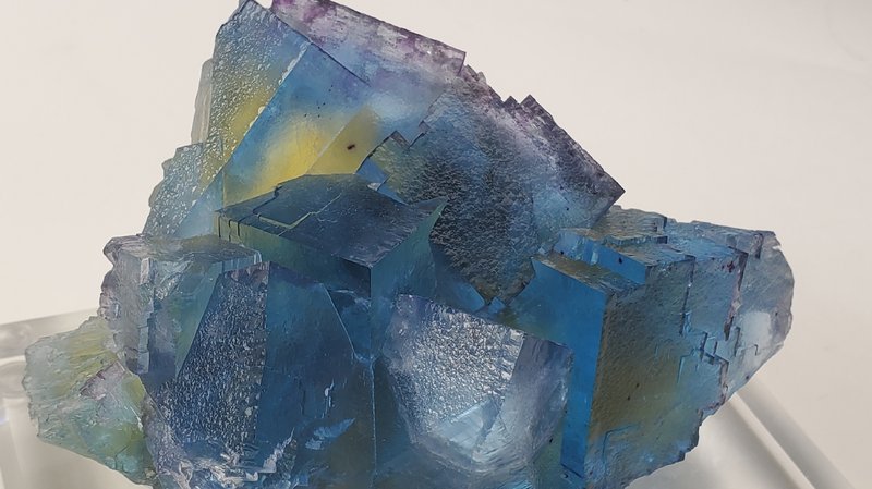 Crystal and mineral display with organized specimens and inventory