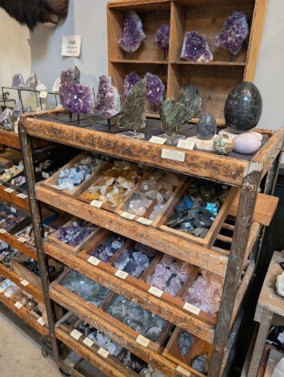 Retail display with tumbled stones, raw crystals, and polished specimens