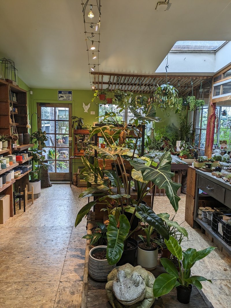 Store interior displaying crystals, minerals, and metaphysical supplies