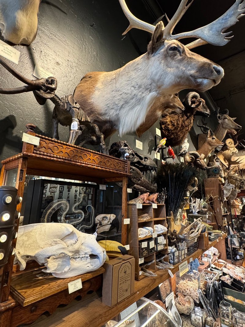 Shelving display featuring amethyst, quartz, and various crystal specimens