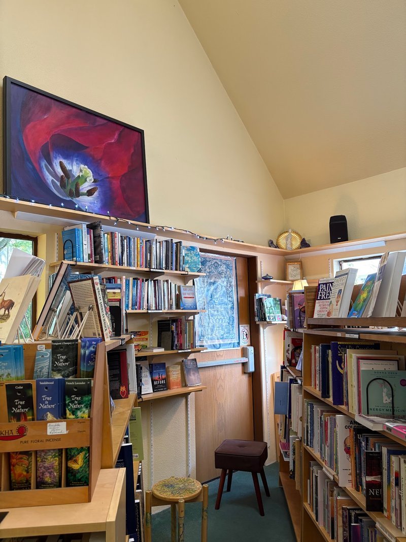 Collection of tumbled stones, raw minerals, and crystal clusters