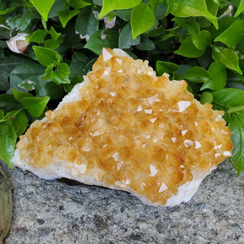 Retail display with tumbled stones, raw crystals, and polished specimens