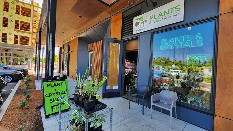 The Other Side Nursery Metaphysical Store storefront in Portland Oregon