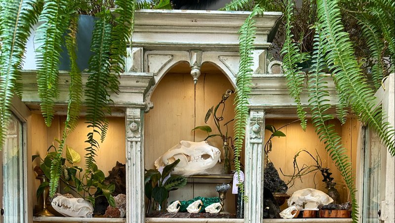 Crystal and mineral display with organized specimens and inventory