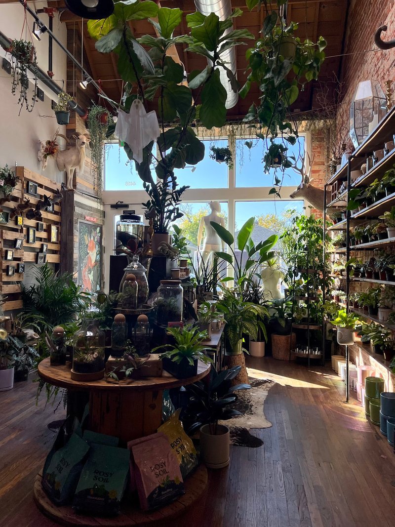 Shelving display featuring amethyst, quartz, and various crystal specimens