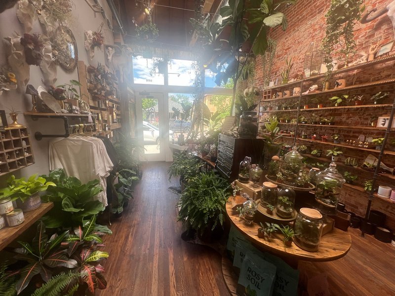 Retail shelving with organized crystals, stones, and spiritual products