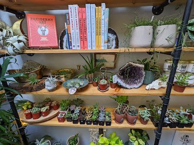 Assortment of crystal towers, spheres, clusters, and polished gemstones