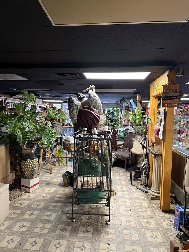 Shelving display featuring amethyst, quartz, and various crystal specimens